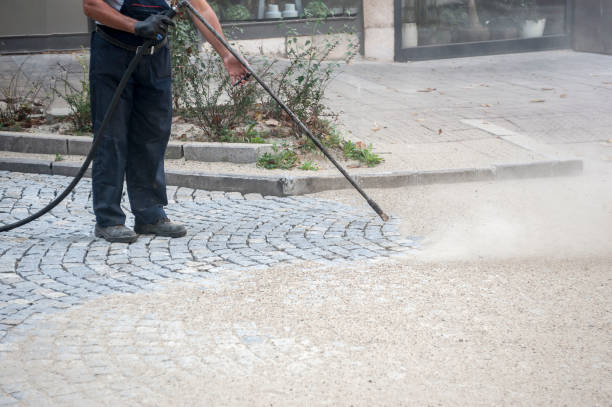Best Dumpster Area Cleaning  in Wayne, MI