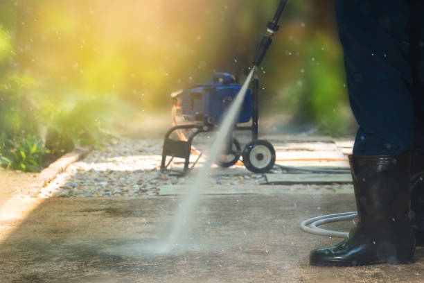 Best Solar Panel Cleaning  in Wayne, MI